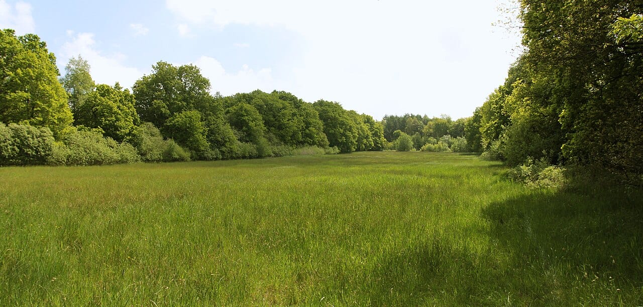Düllham Pan.jpg · Naturschutzgebiet Düllhamm in Bremerhaven · Wikimedia Commons