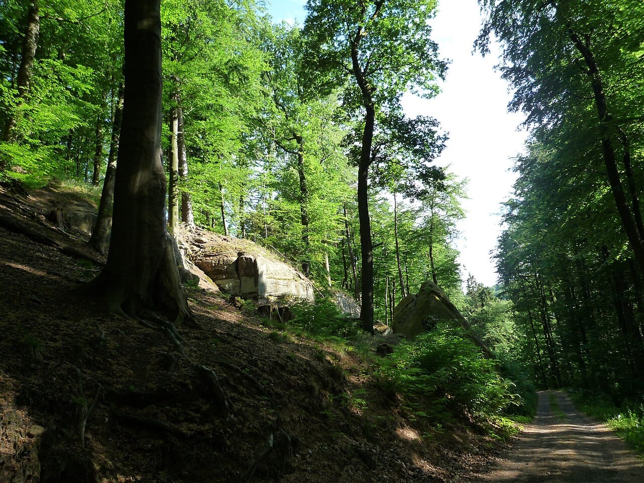 Waldgebiet.JPG · Lichtung mit Fels im St. Ingbert-Kirkeler Waldgebiet · Wikimedia Commons