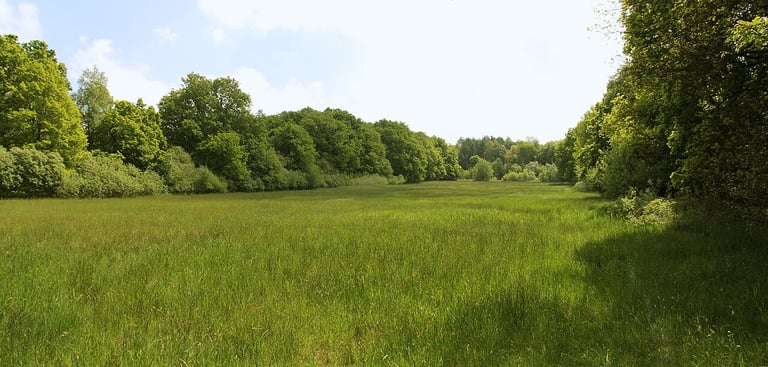 Düllham Pan.jpg · Naturschutzgebiet Düllhamm in Bremerhaven · Wikimedia Commons
