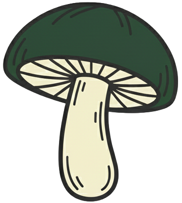 Mycora